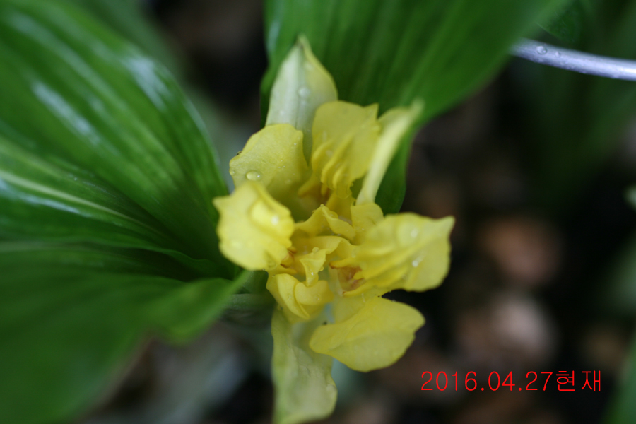 25-삼판삼설 기화