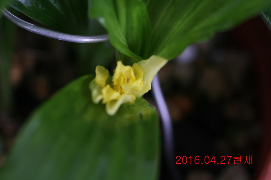 25-삼판삼설 기화