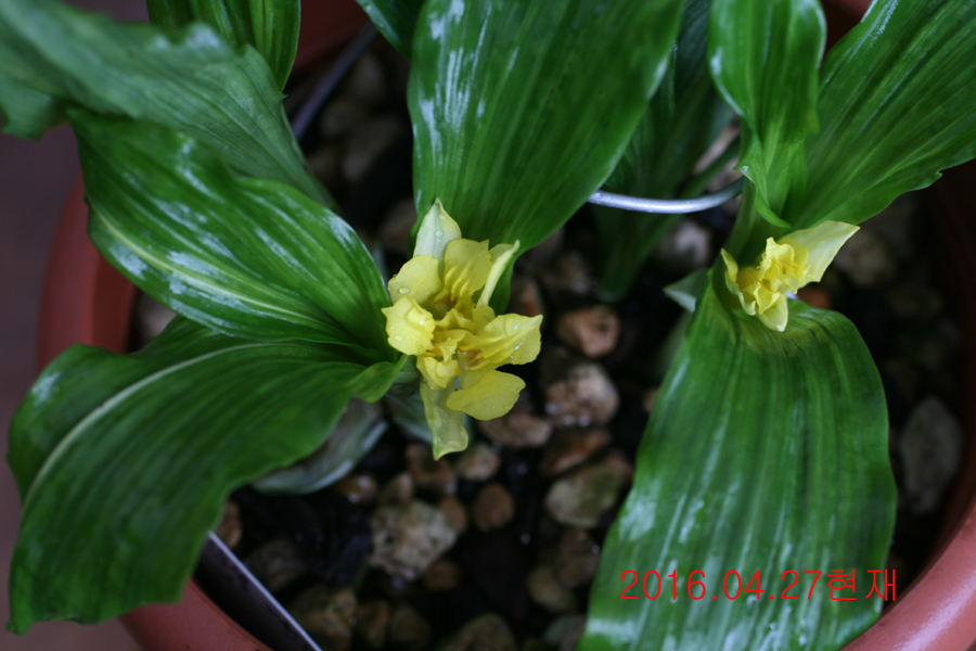 25-삼판삼설 기화