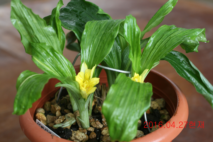 25-삼판삼설 기화