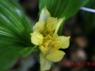 25-삼판삼설 기화