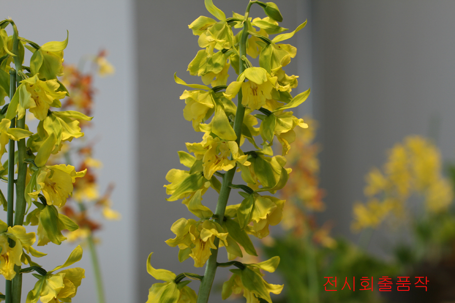 33-녹판삼설기화