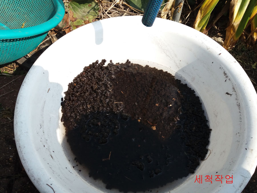 분변토