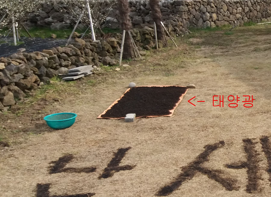 분변토