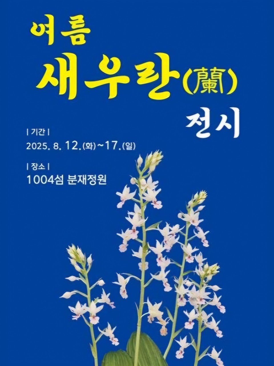 여름새우란